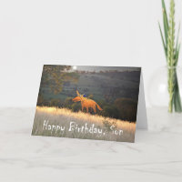 Raposa em Lua, Feliz Aniversário Filho, humor.