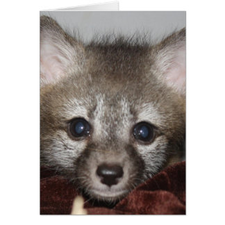 Cartão Raposa Pequena