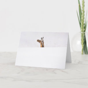 Cartão Raposa Vermelha