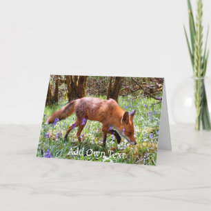 Cartão Raposa Vermelha no Jardim de Flores de Bluebells d