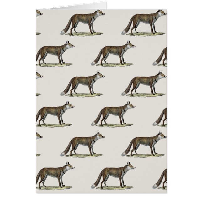 Cartão Raposas (Frente)