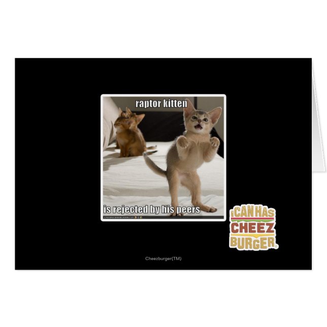 Cartão Raptor Kitten (Frente Horizontal)