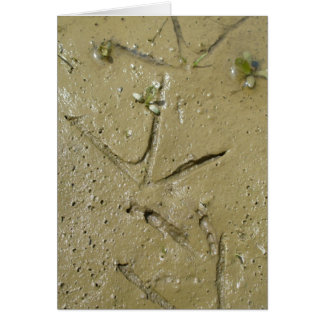 Cartão Rastreamento de assassinos