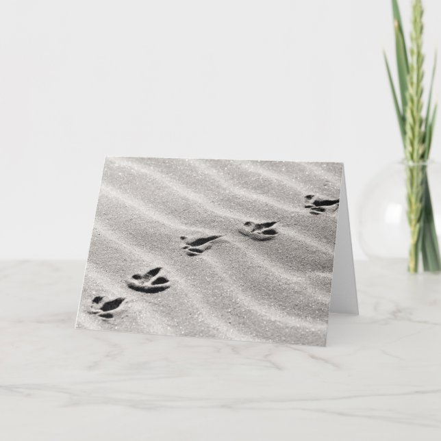 Cartão Rastreios na Fotografia da Areia (Frente)