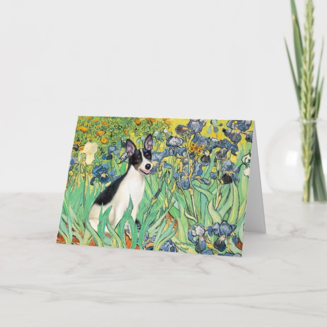 Cartão Rat Terrier - Íris (Frente)