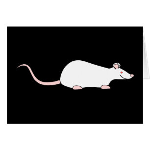 Cartão Rato branco do animal de estimação do albino