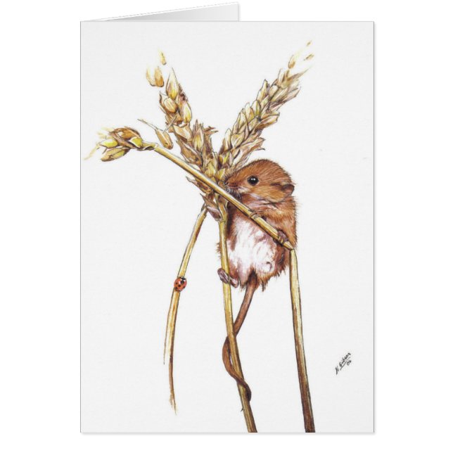 Cartão Rato de colheita (Frente)