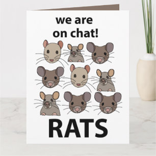 Cartão Ratos Animal Que Nós Estamos No Chat Ratos Engraça