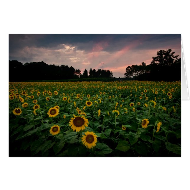 CARTÃO RCD_6002_3_4 (Frente horizontal)