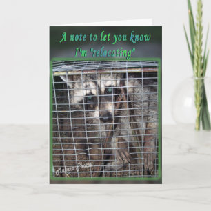 Cartão Recocar? Placa de excelente muda para suas palavra