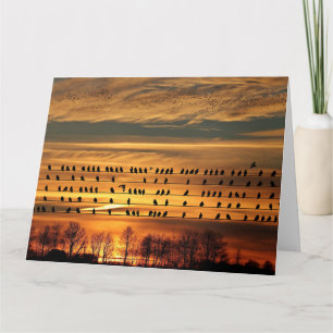 Cartão Recolha de estorninhos