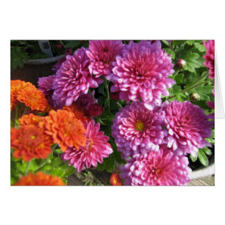 Cartão Recolhendo mães