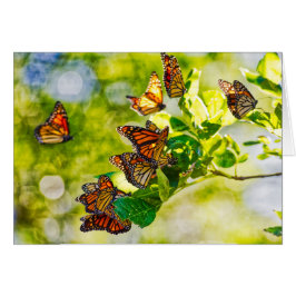 Cartão Recolhimento do monarca