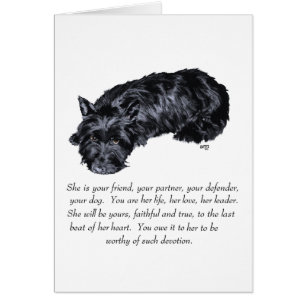 Cartão Recordo do Scottish Terrier - FÊMEA