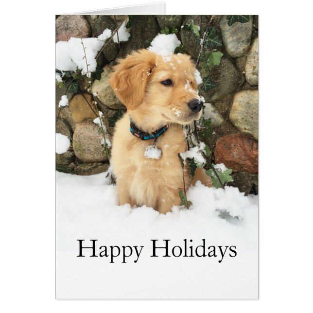 Cartão Recorte de laboratório de Cuppy (Frente)