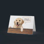 Cartão Recuperação de ouros com bolhas de texto de aniver<br><div class="desc">Ouro recupera cachorro com bolha de texto humorística para envelhecer</div>