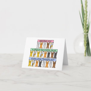 Cartão Recuperação rápida do transplante pulmonar