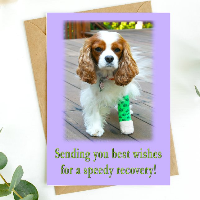Cartão Recuperação rápida Obtenha uma placa de expansão e (Send speedy recovery healing vibes with this adorable dog card. )
