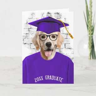 Cartão recuperador de ouros de graduação em t-shirt rox