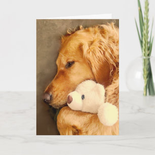 Cartão Recupere-se Bonito Cachorro Triste Retriever Golde