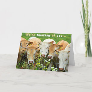 Cartão Recupere-se Logo Rancho Fazenda Gado Flores Campes