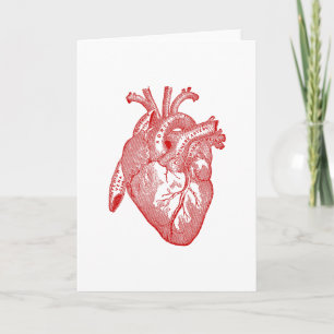 Cartão Red Antique Anatomical Heart