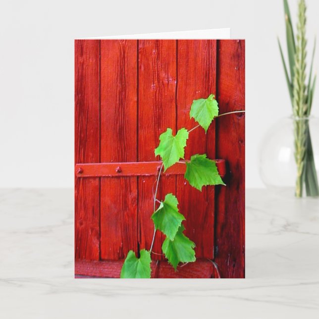 Cartão Red Barn Vine (Frente)