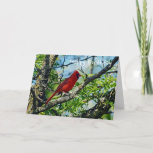 Cartão Red Cardinal Wild Bird Photograph