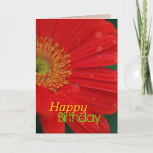 Cartão Red Daisy Happy Birthday Greeting Card