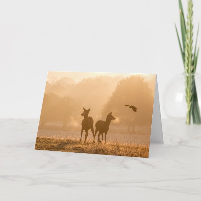 Cartão Red Deer e Jackdaw (Frente)