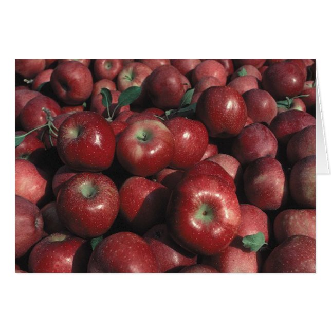 Cartão Red Deliciosa Apple Crop (Frente Horizontal)