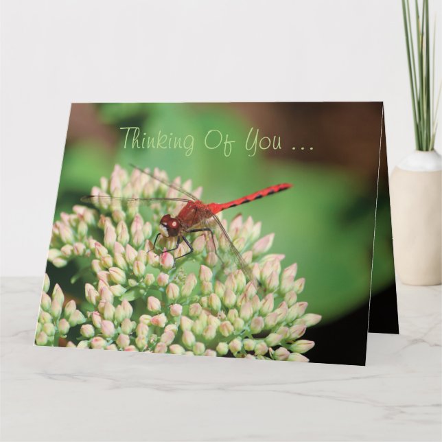 Cartão Red Dragonfly Notecard (Frente)