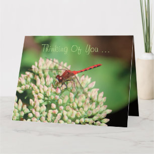 Cartão Red Dragonfly Notecard
