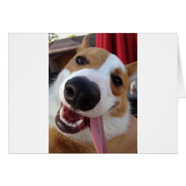 Cartão Red e White Pembroke Welsh Corgi (Frente Horizontal)
