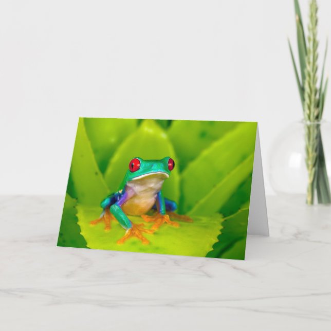 Cartão Red-eyed tree frog, Costa Rica (Frente)