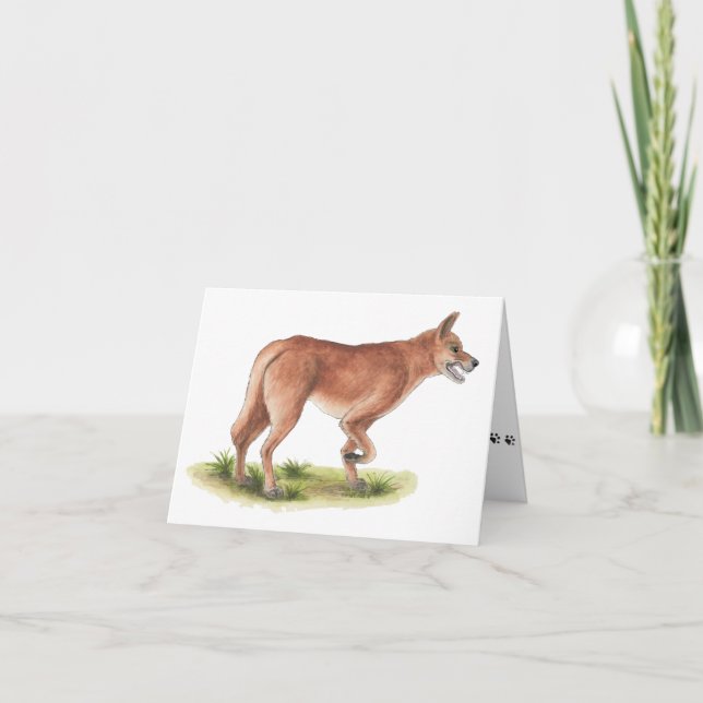 Cartão Red Fox Blank Note Card (Frente)