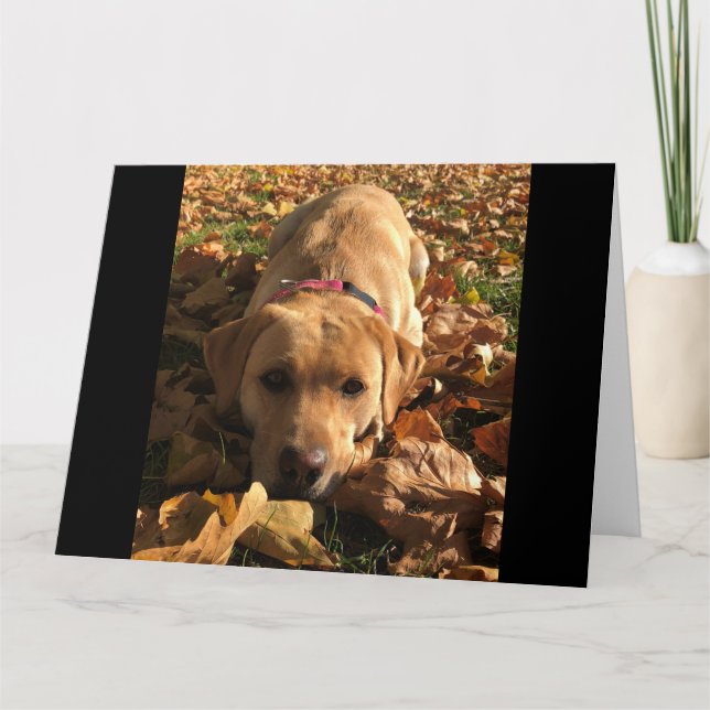 Cartão Red Fox Labrador Sentado No Outono Deixa Saudações (Frente)