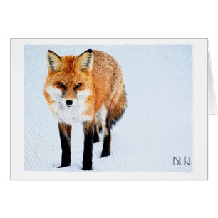 Cartão Red Fox/Willife Art/Watercolor Look