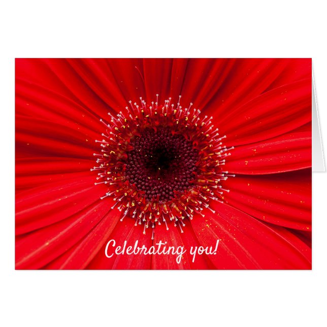 Cartão Red Gerbera Daisy para o aniversário (Frente Horizontal)