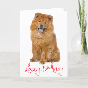 Cartão Red Happy Birday Chow Chow Brown Puppy Dog