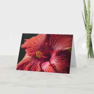 Cartão Red Hibiscus Card
