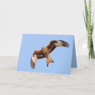 Cartão Red Kite Card