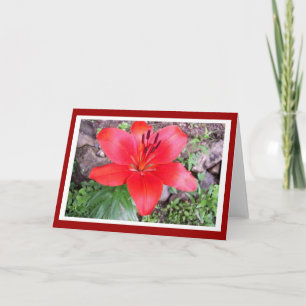 Cartão Red Lilie 2
