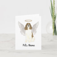 Red Liver White English Springer Spaniel Sympathy