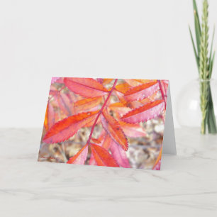 Cartão Red & orange leaves card - Walden Pond shore