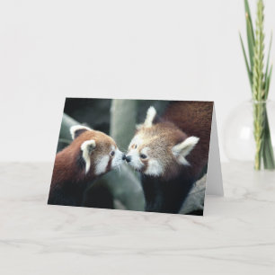 Cartão Red Panda #2-Greeting card