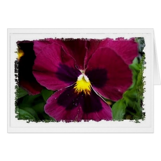 Cartão Red Pansie (Frente Horizontal)