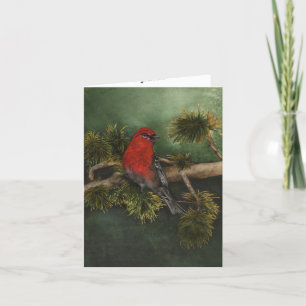 Cartão Red Pine Grosbeak Bullfinch Bird Greeting Card