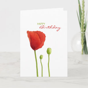 Cartão Red Poppy Birthday Card