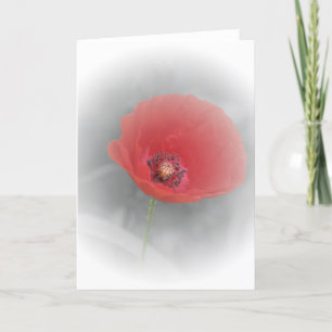 Cartão Red Poppy Card